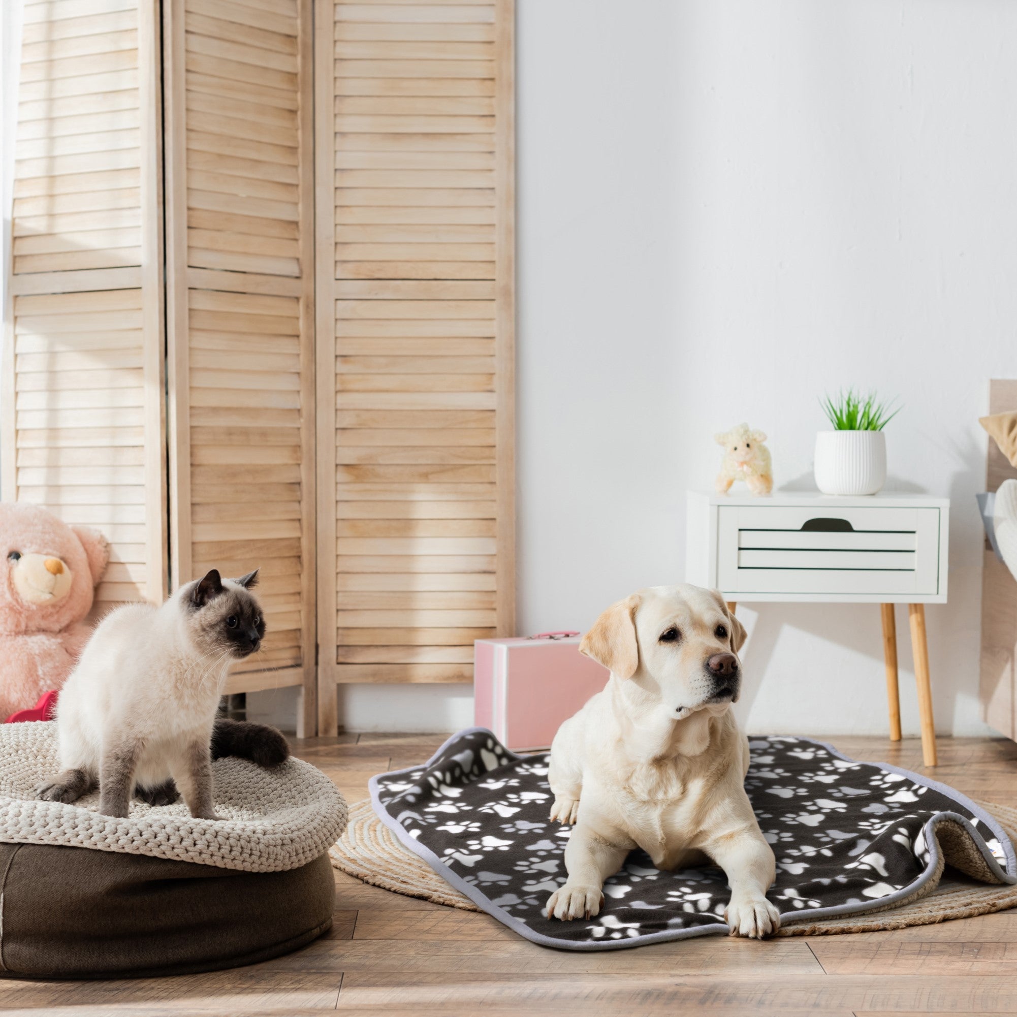 Pet bedding and blankets