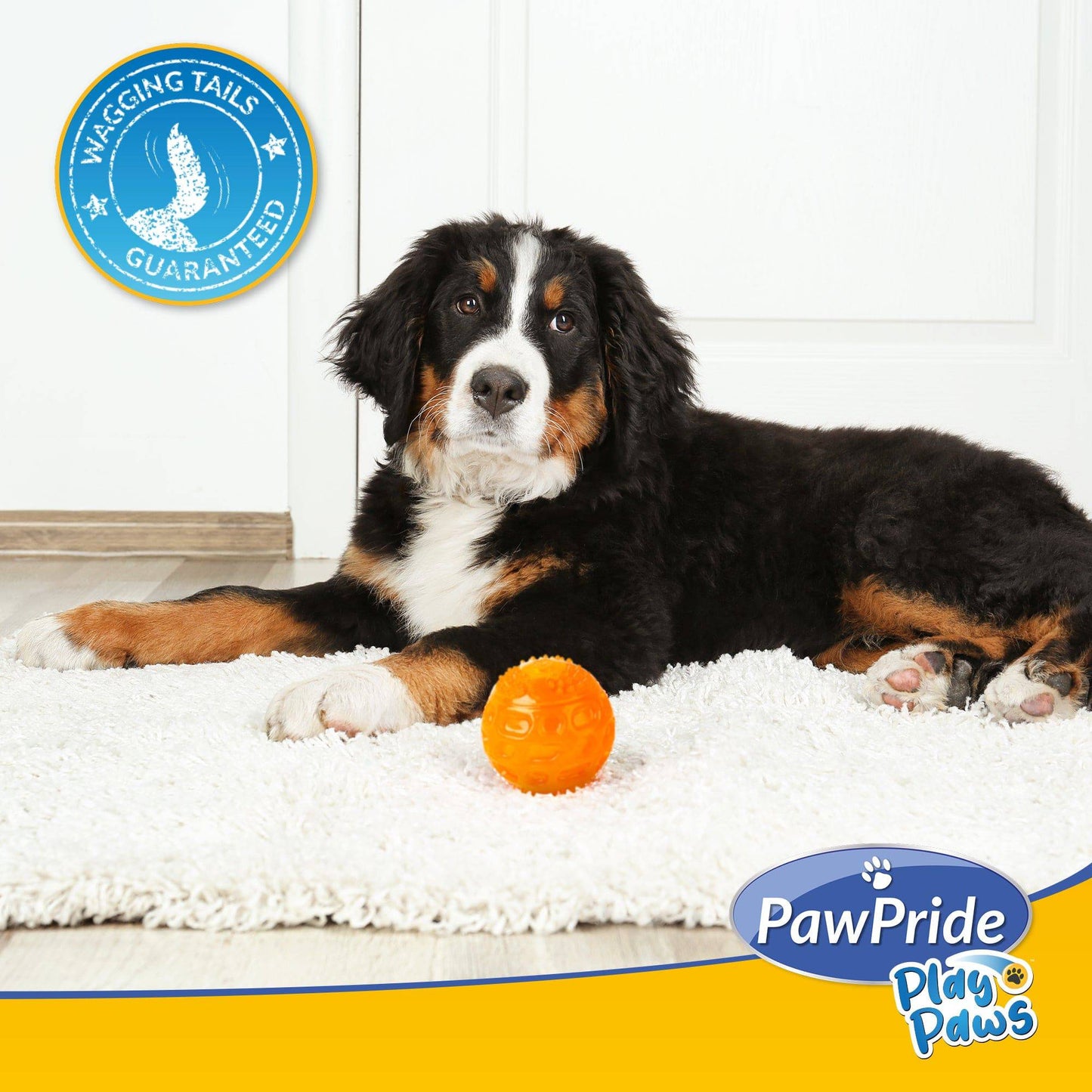 LED Light Up Ball - Pawpride - DSL