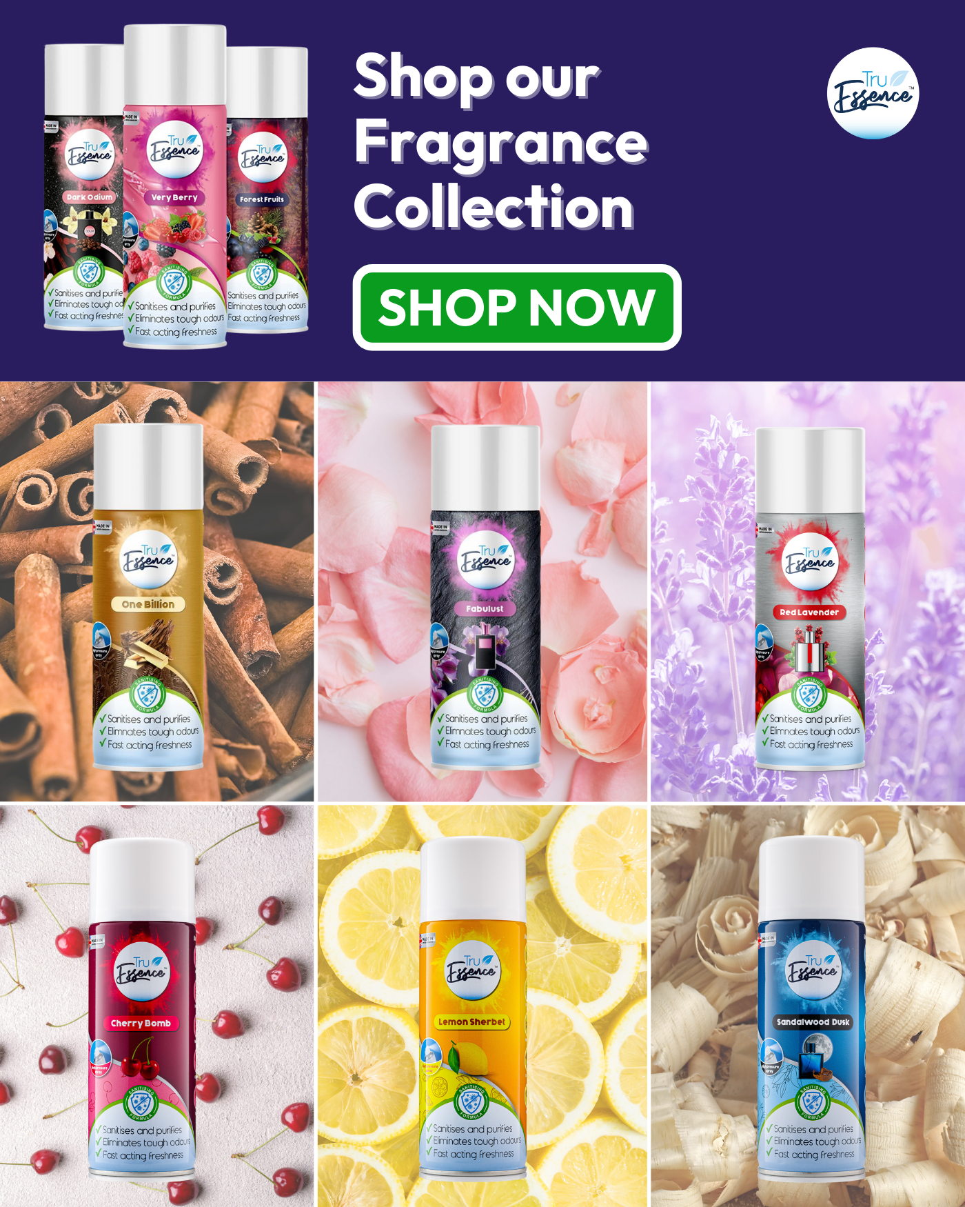Browse Air Fresheners and fragrances for your home and car. Choose from a range of scents of spray, gel or hanging air fresheners from DSL. Shop our TruEssence collection or explore the designer fragrance inspired air fresheners. Make your home smell fresher for longer.