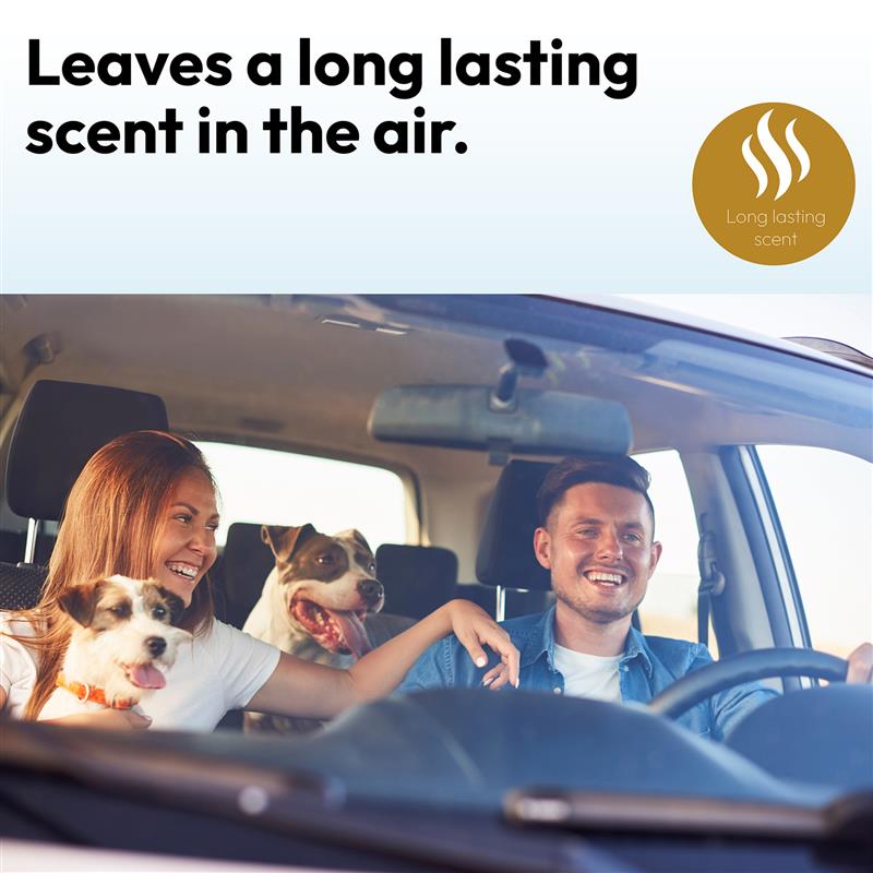 Designer Air Freshener (One Billion) - TruEssence - DSL