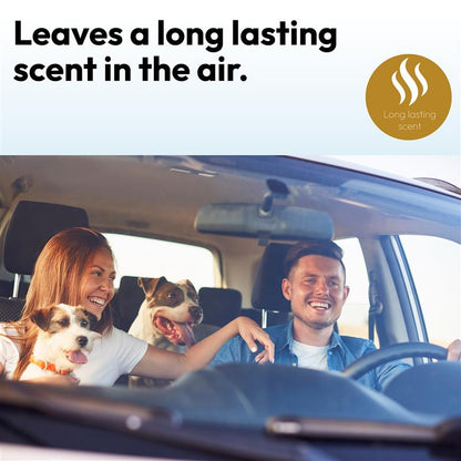 Designer Air Freshener (One Billion) - TruEssence - DSL