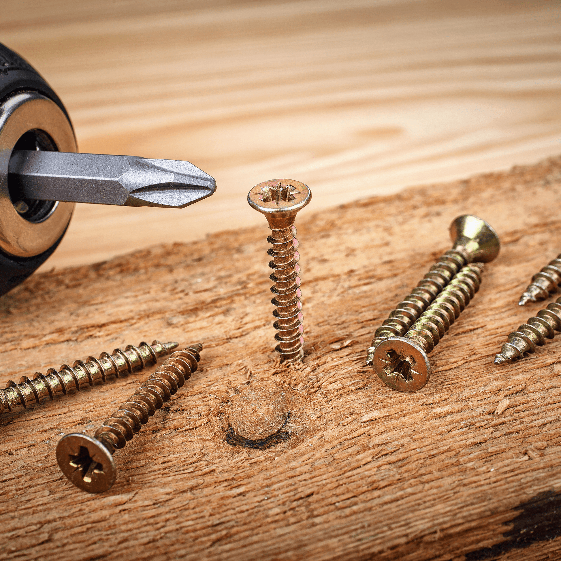 665 Piece Wood  Screw Assortment Set - TuuLKIT - DSL