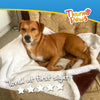 Luxury Pet Blanket (Brown) - DSL